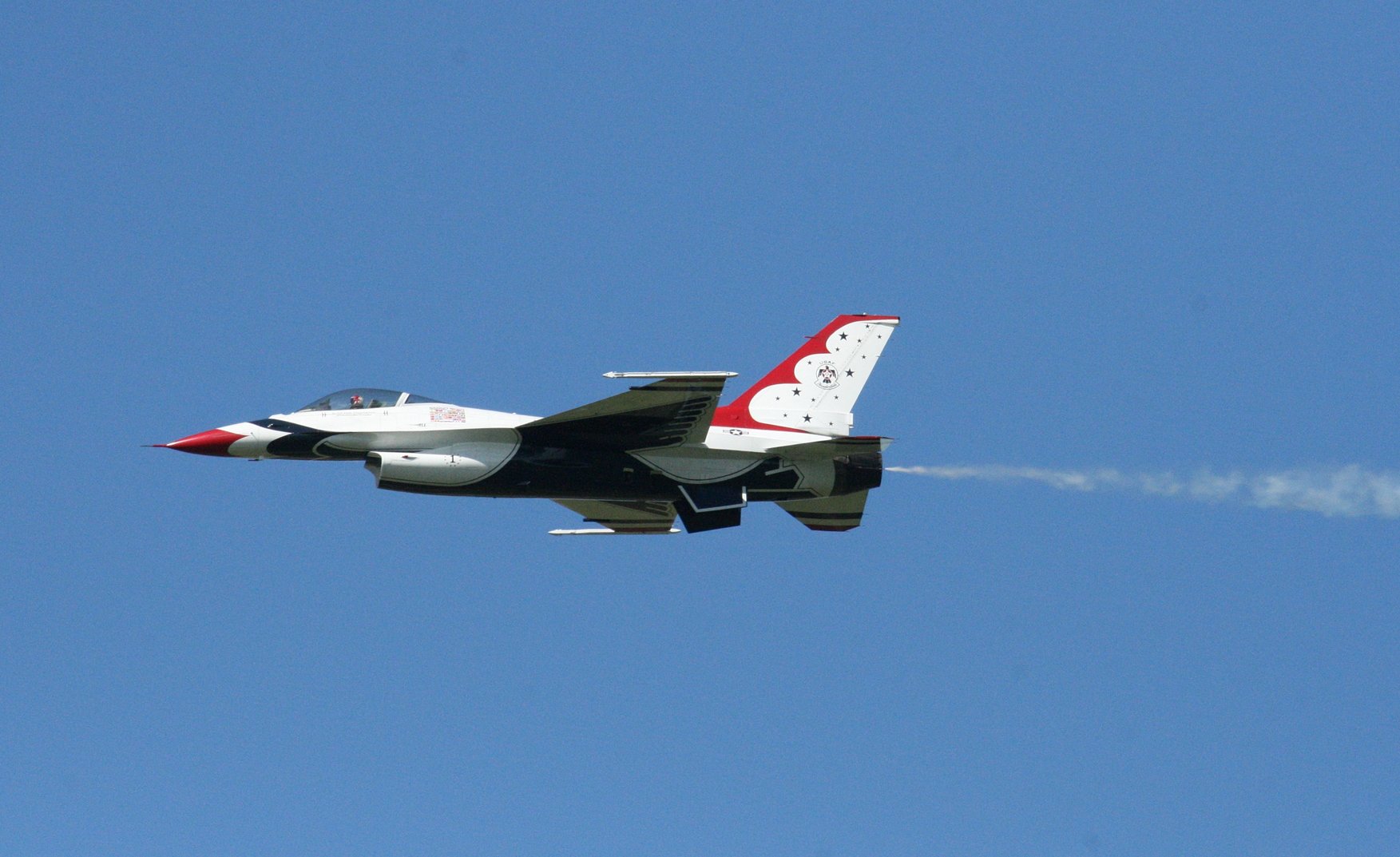 TBIRD 31
