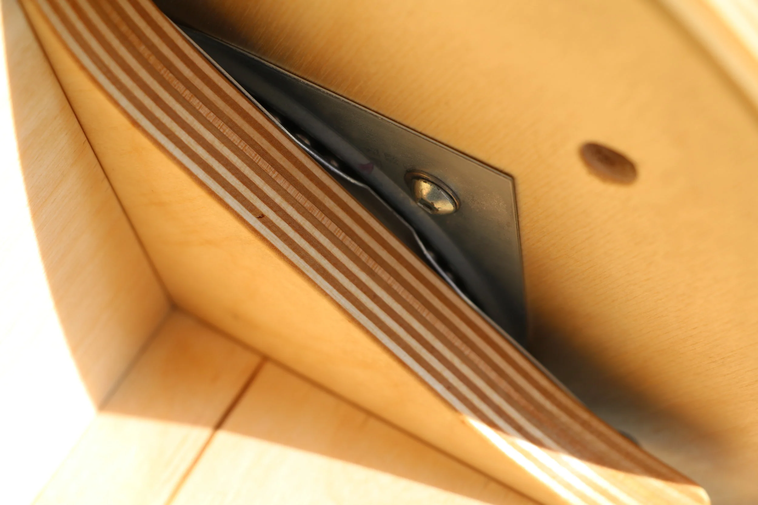 Copy of IMG_5648.JPG