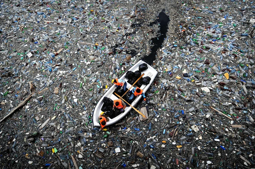 Photo: Dimitar Dilkoff (Getty Images)