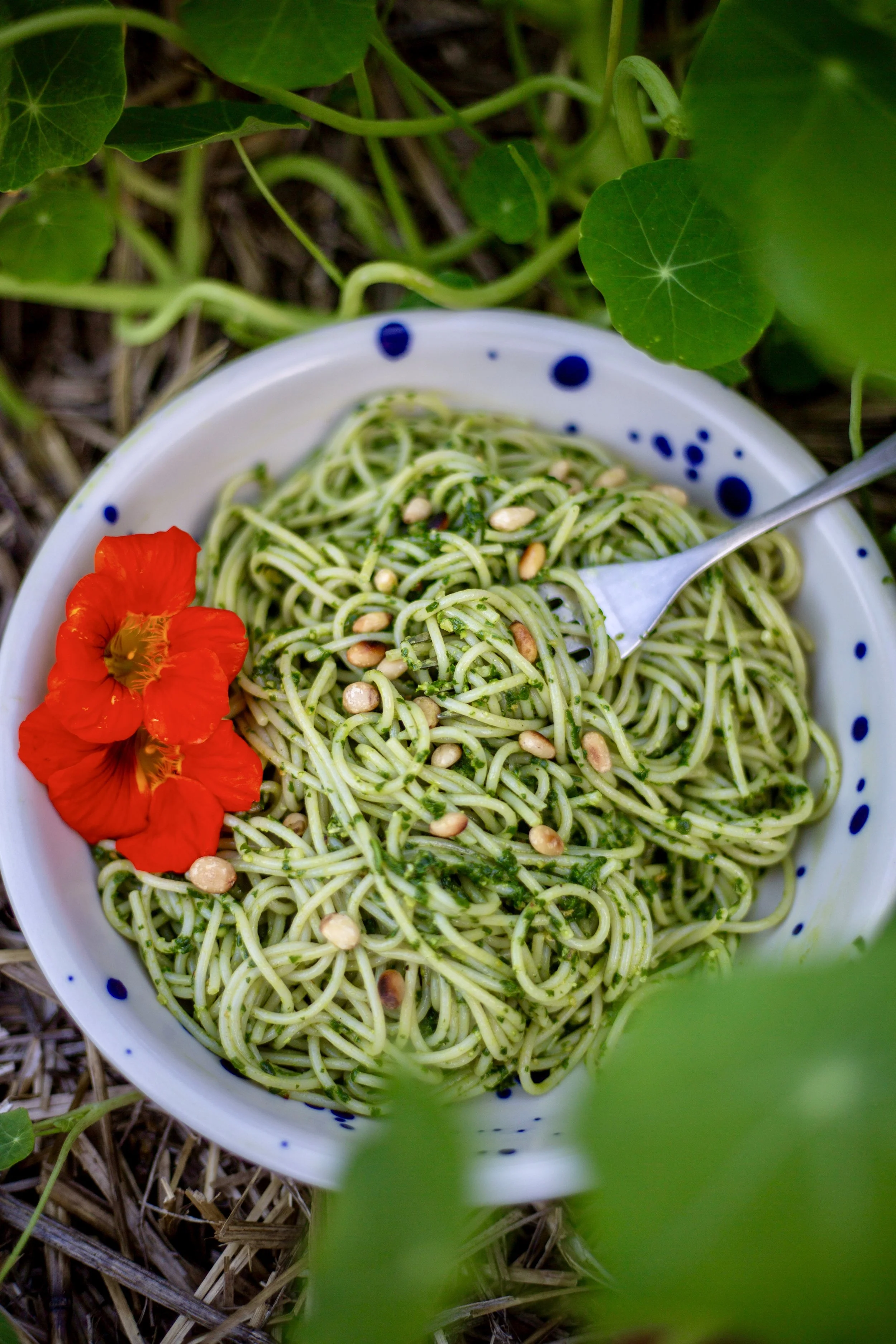Summer Solstice &amp; Spicy Nasturtium Pesto
