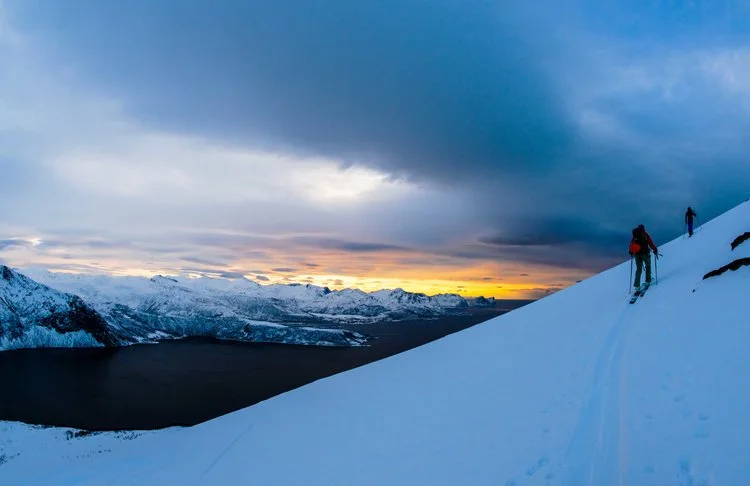 mf words - travel.jpeg