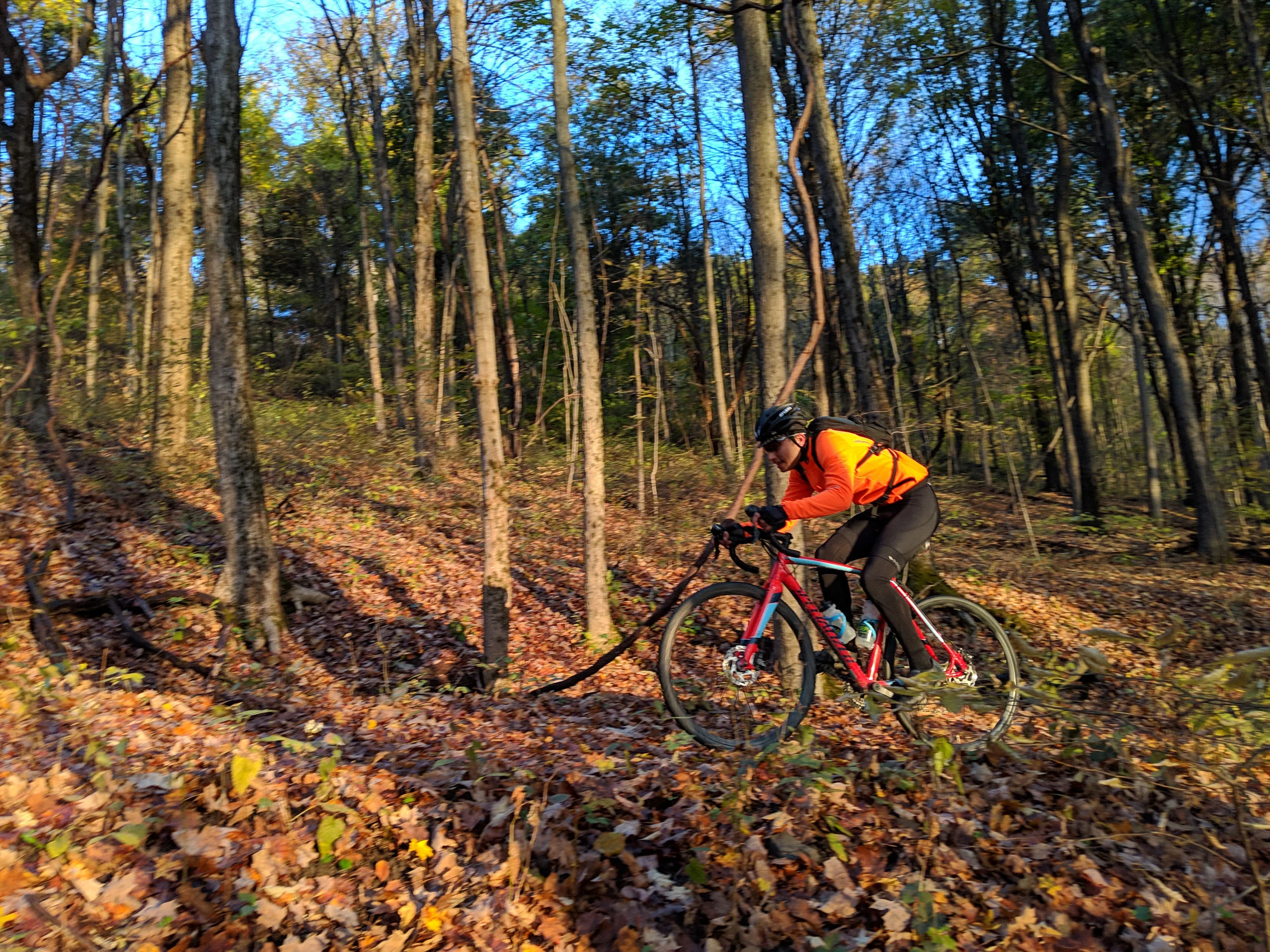 The Google Pixel 3's Amazing Camera Tech 