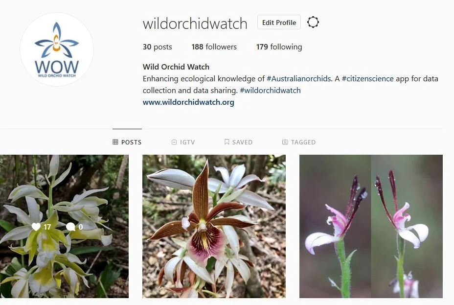 Follow WOW on socials