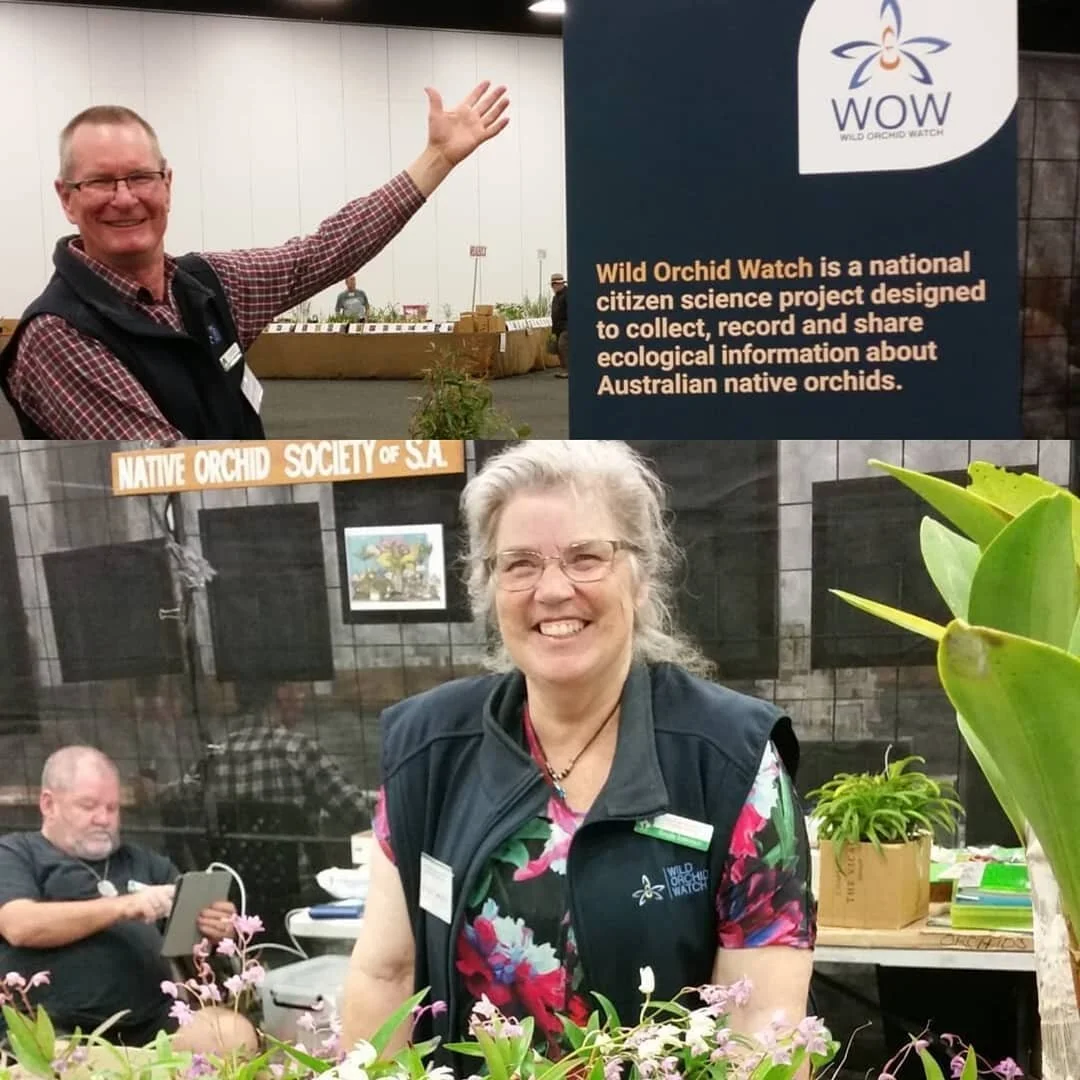 Rosalie and Robert representing WOW and NOSSA at the Australian Plant Society plants sale on the weekend 👍😄
📷 @australianplantssa #regram #WOWapp