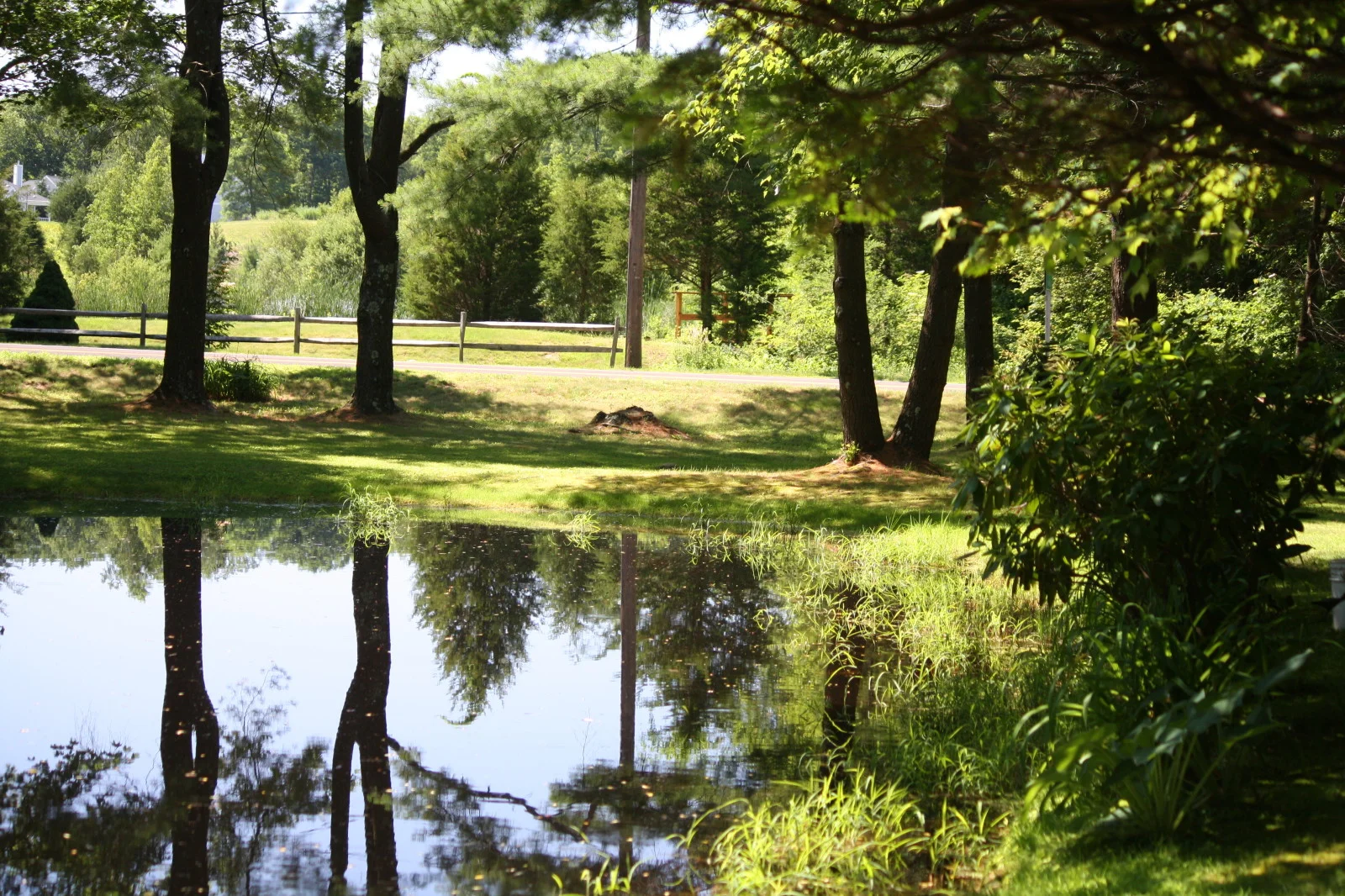 Guest house grounds 1.jpg