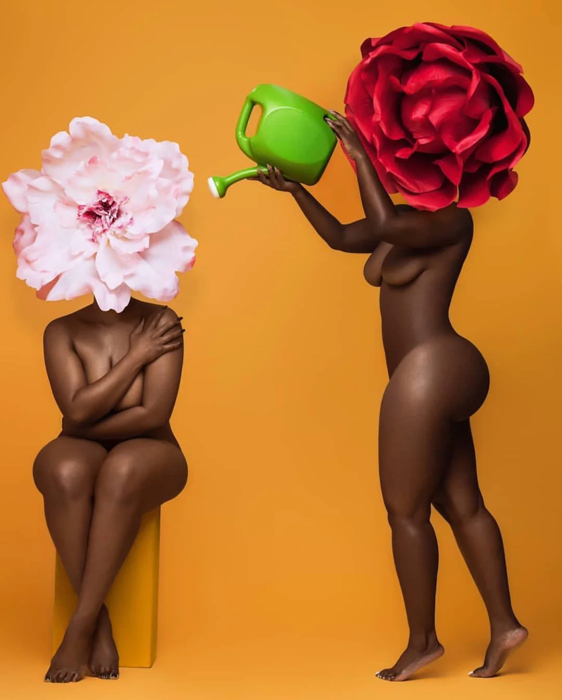 Image courtesy of @moshoodat and @islandboiphotography