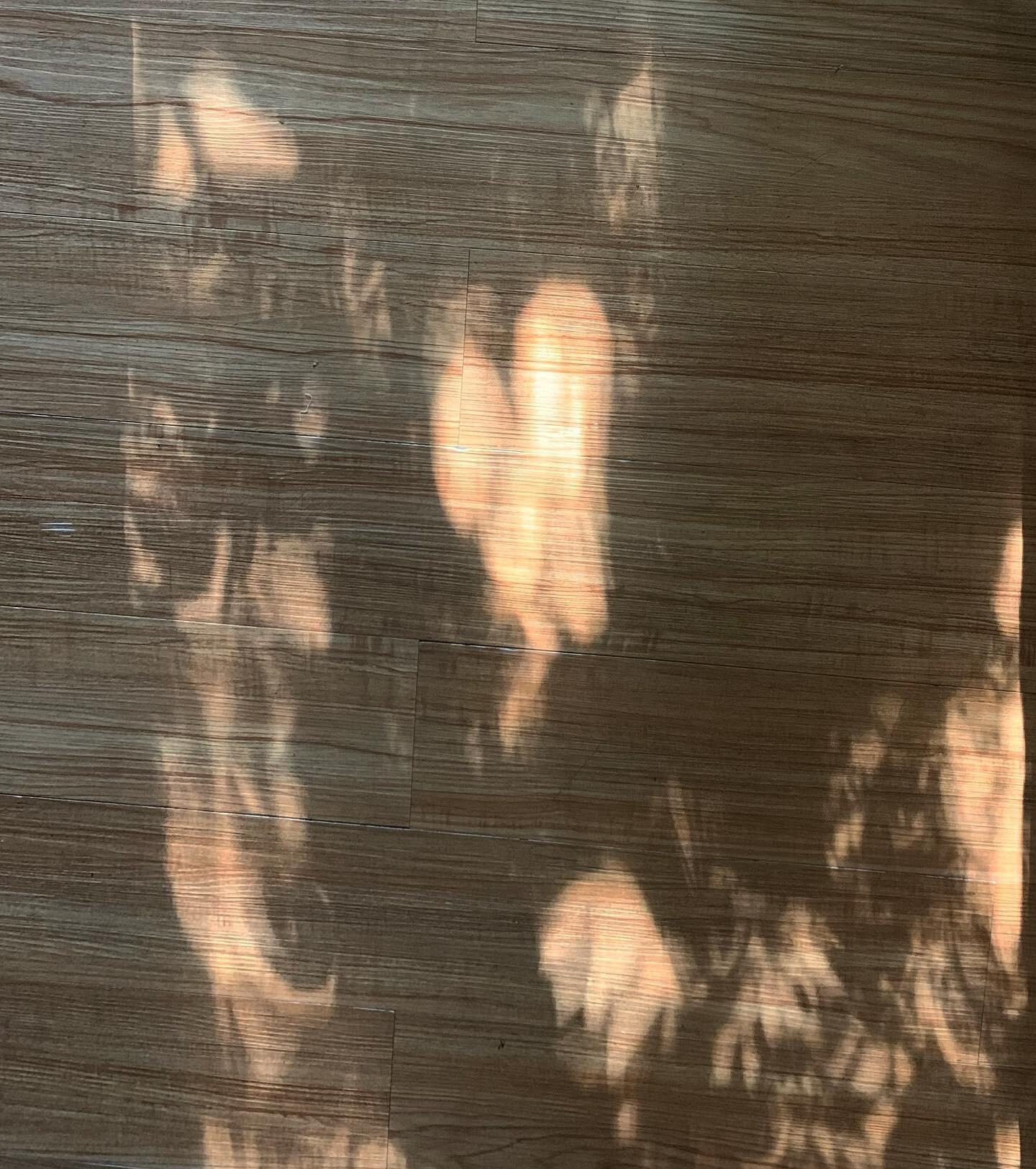 There is something about noticing the little details. I love how light and shadow can make it&rsquo;s own artwork.

I captured this heart I found in sunlight reflections after a cranio session with @fluid_dynamics_craniosacral.  After a session that 