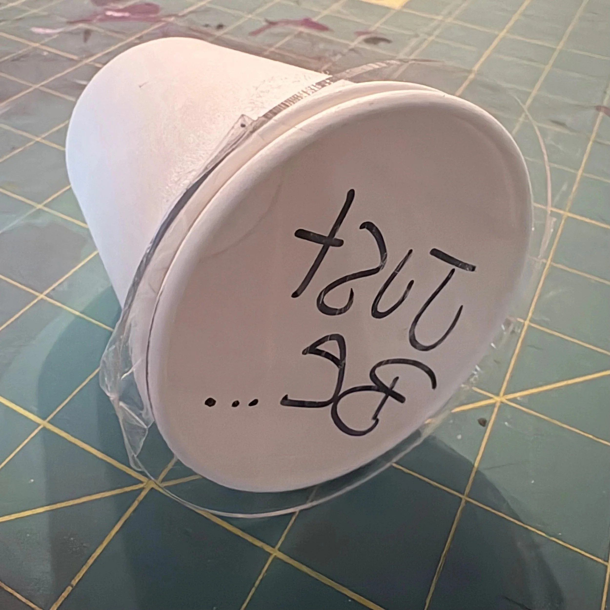 Project(or) Voice