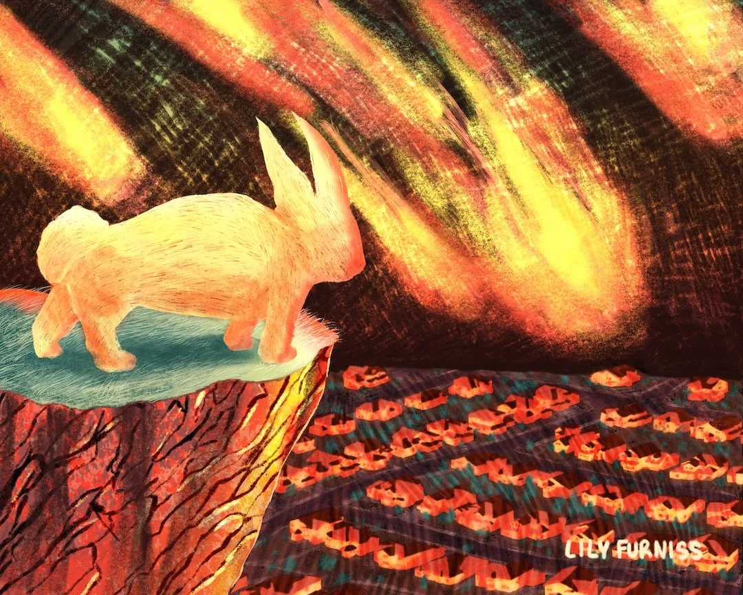 bunny-looking-at-meteorites-hitting-suburb.jpg