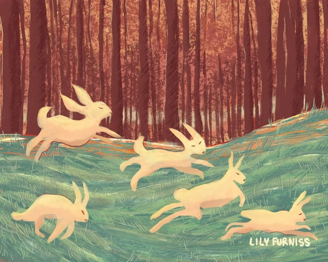 group-of-rabbits-running-in-warm-forest.jpg
