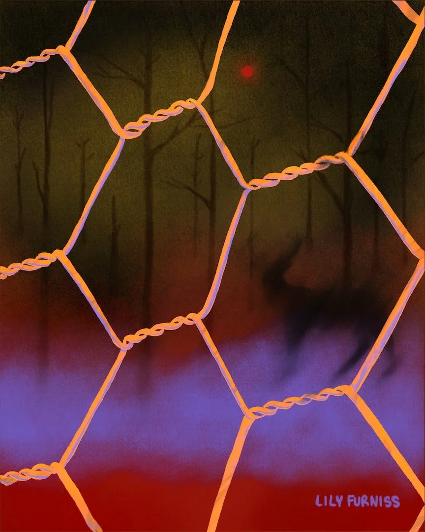 shadowy-deer-behind-chainlink-fence-in-dark-forest.jpg