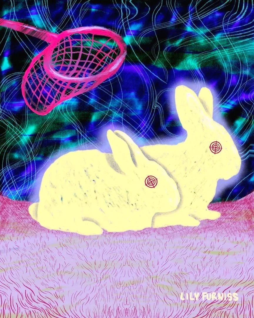two-bonded-yellow-rabbits-caught-by-net-in-mysterious-psychedelic-landscape.jpg