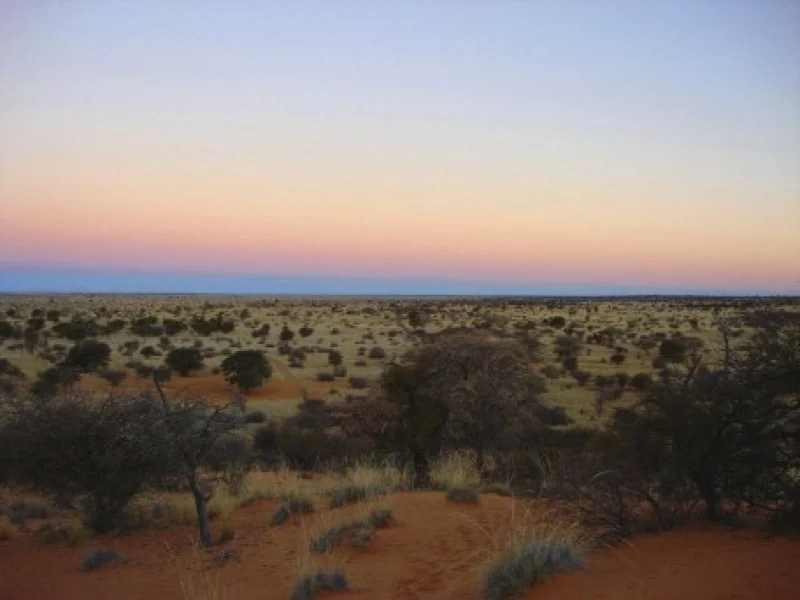 Hunt Namibia Kalahari OutPost90.jpg
