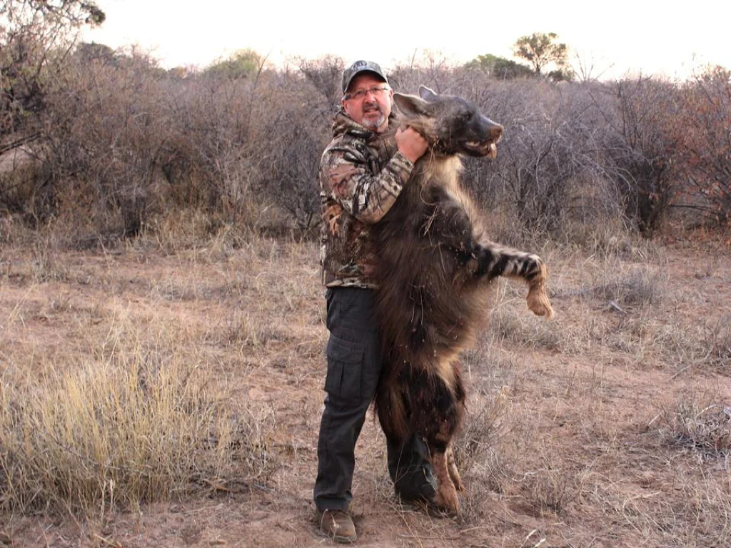 Brown Hyena Hunt02.jpg