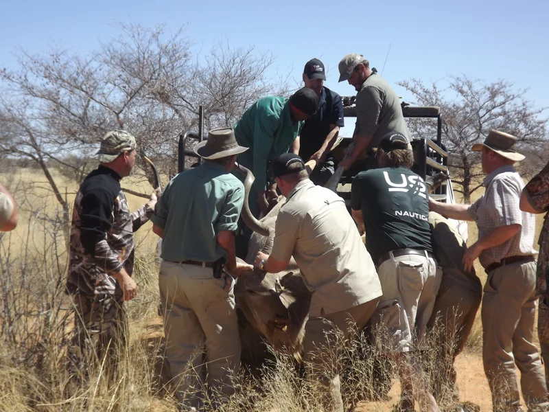 hunt in africa.jpg