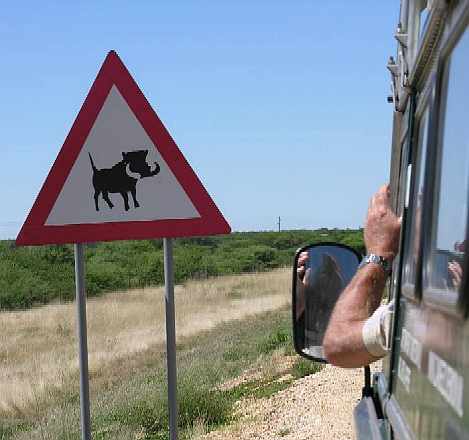 20061103%20PM%20Another%20warthog%20road%20from%20Grootfontein%20to%20Etosha_web.jpg