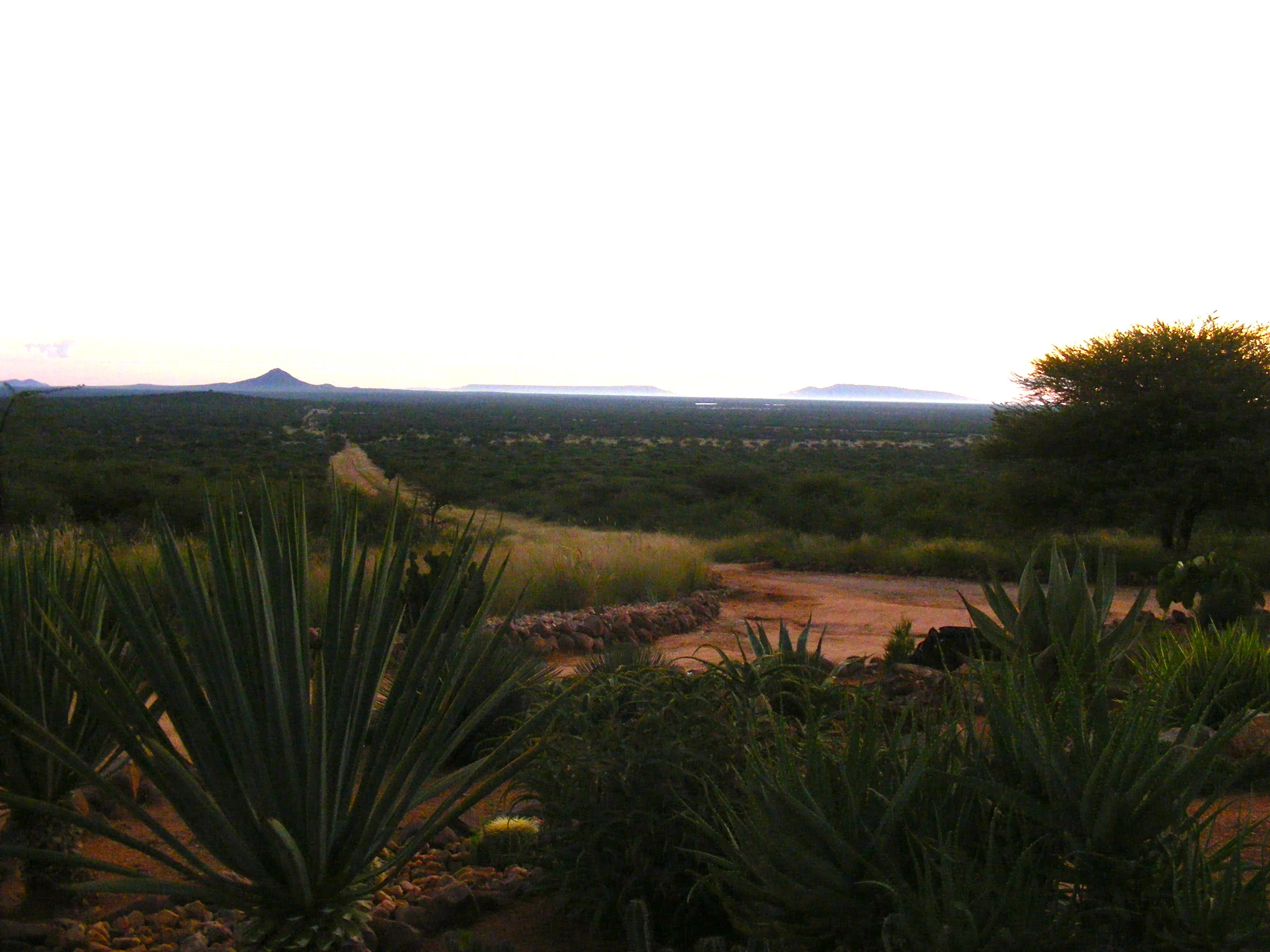 DSCF0378.jpg