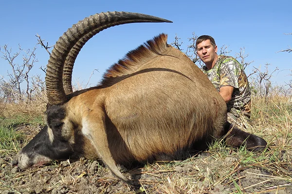 roan27.jpg