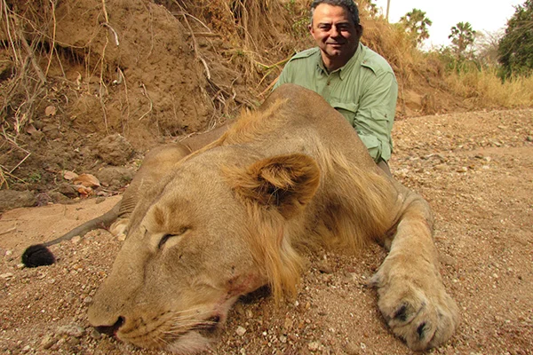 lion09.jpg