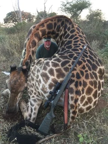 Hunt in Africa 13.jpg