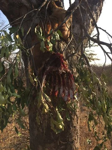 Hunt in Africa 81.jpg