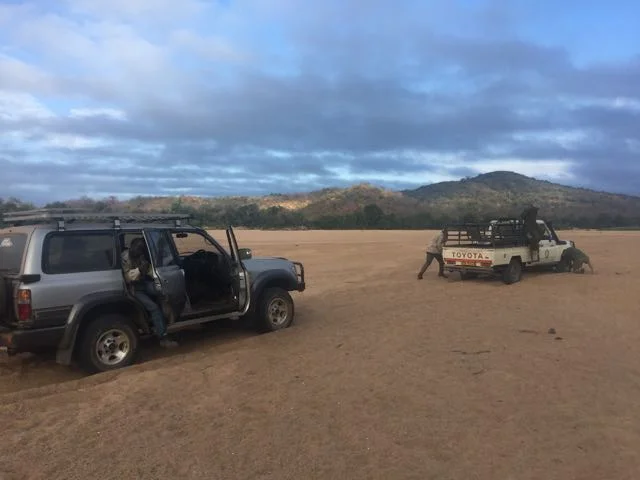 Hunt in Africa 26.jpg