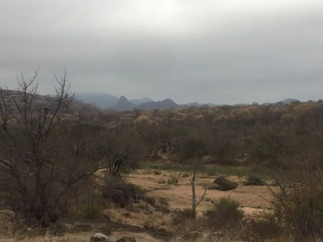 Hunt in Africa 83.jpg