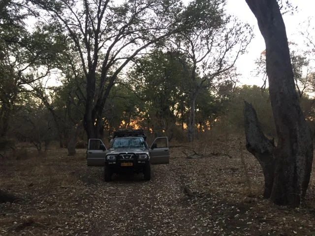 Hunt in Africa 63.jpg
