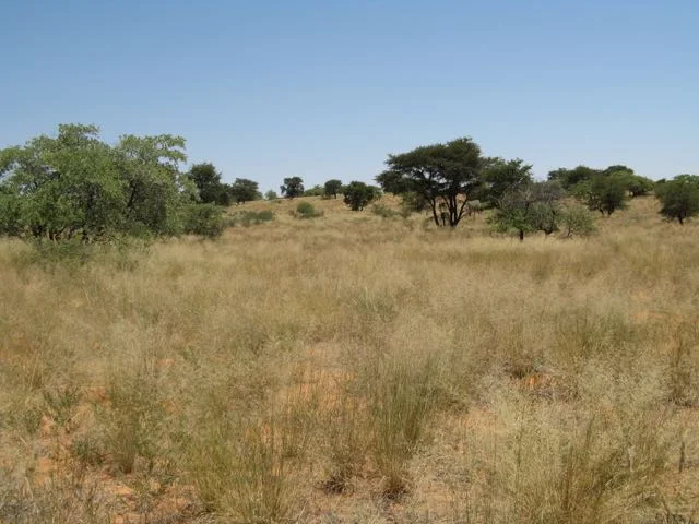 Kalahari Spike Camp80.jpg