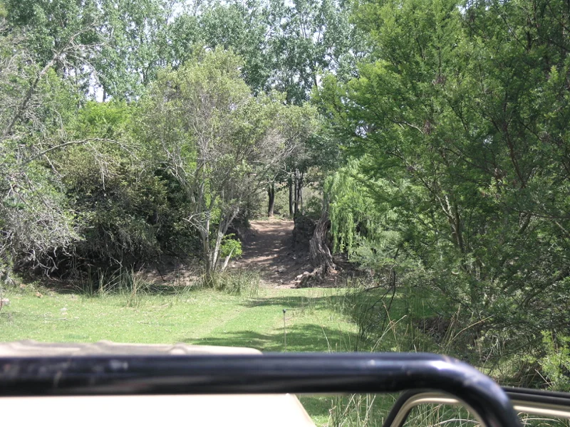 Eastern Cape Camp56.jpg