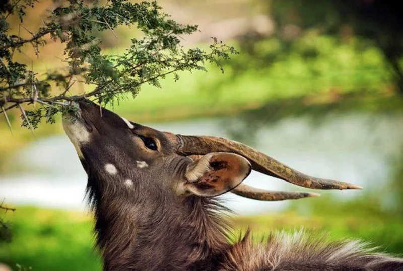 Eastern Cape Camp33.jpg