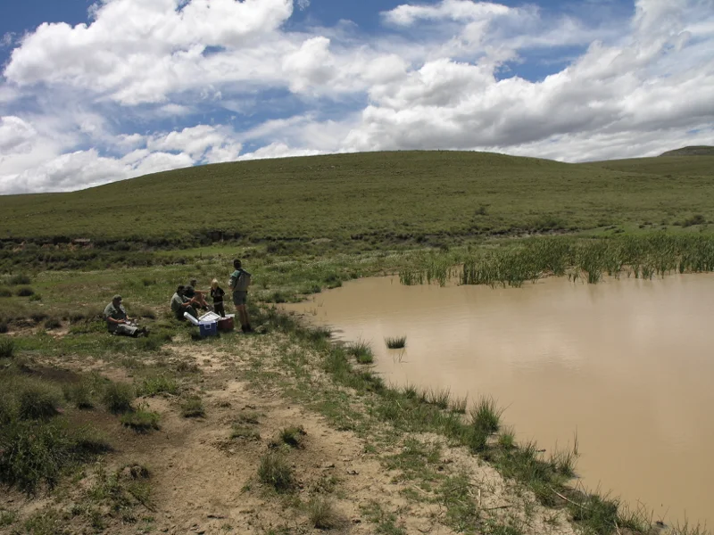 Eastern Cape Camp44.jpg