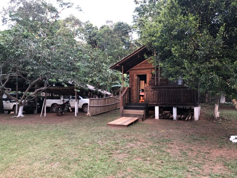 Cameroon Forrest CAMP1.jpg