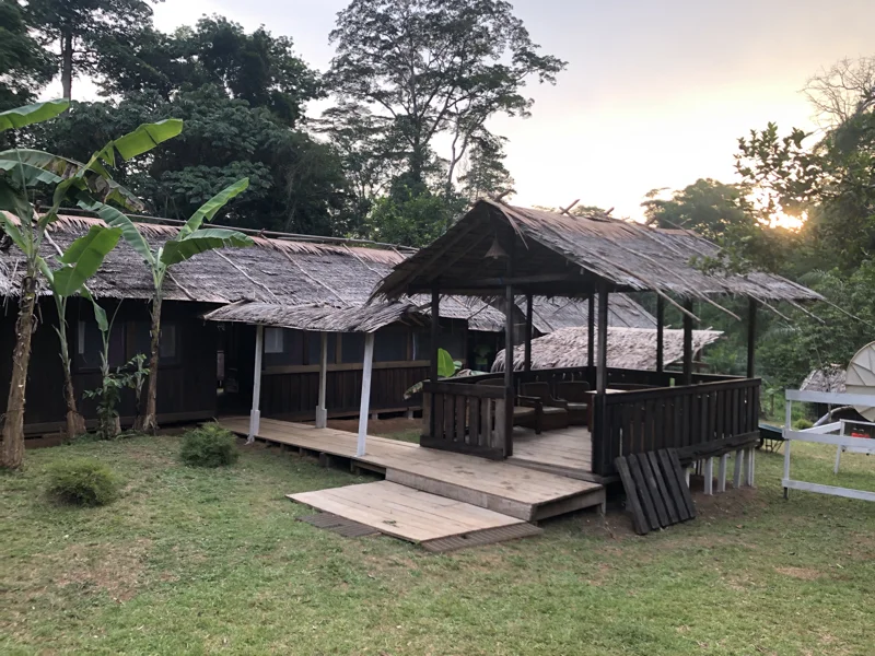 Cameroon Forrest CAMP2.jpg