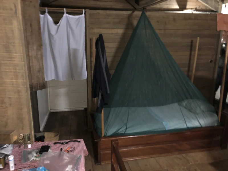 Cameroon Forrest CAMP13.jpg
