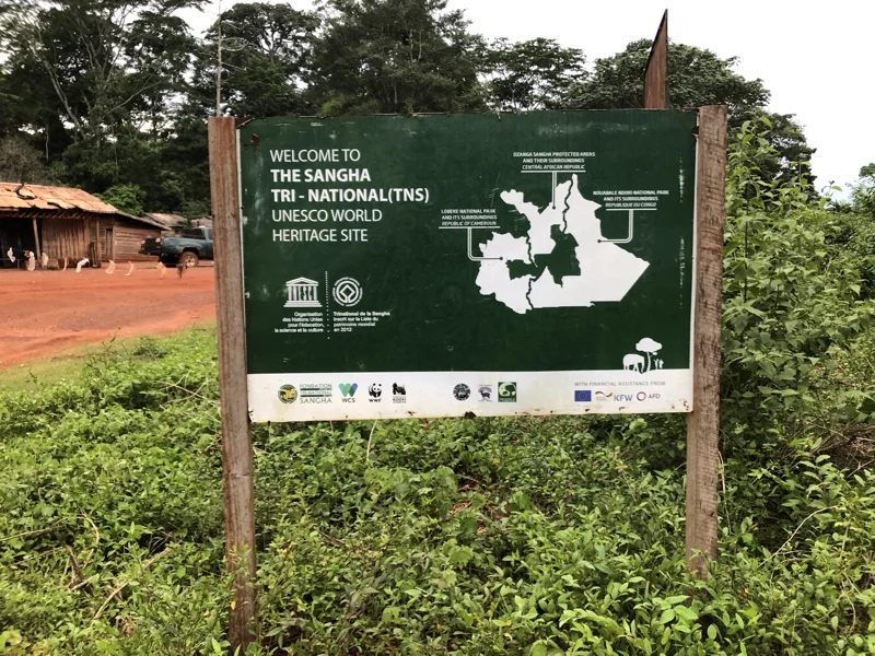 Cameroon Forrest CAMP15.jpg
