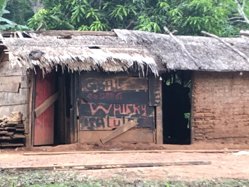 Cameroon Forrest CAMP19.jpg