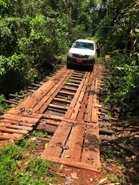Cameroon Forrest COOL PICS50 2.jpg