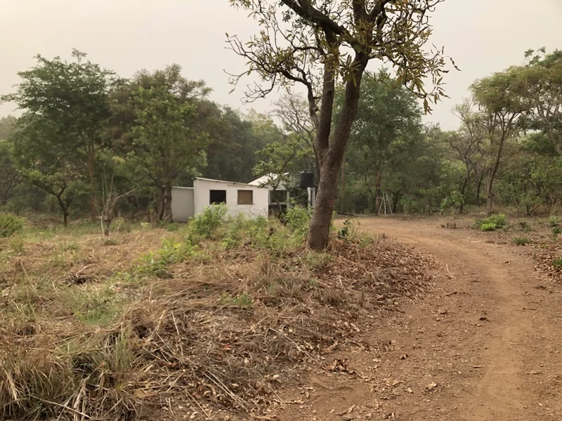 Cameroon Savannah Camp22.jpg