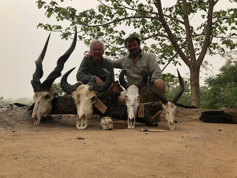 Cameroon Savannah Trophies32.jpg