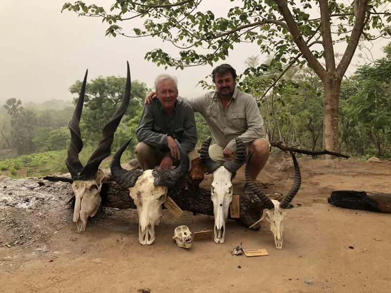Cameroon Savannah Trophies33.jpg