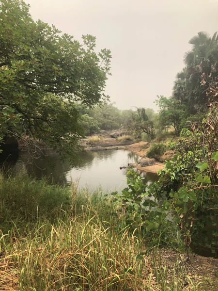 Cameroon Savannah Cool Pics2.jpg