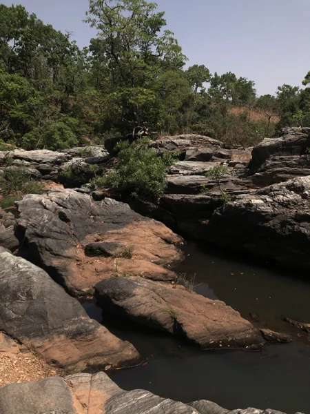 Cameroon Savannah Cool Pics9.jpg