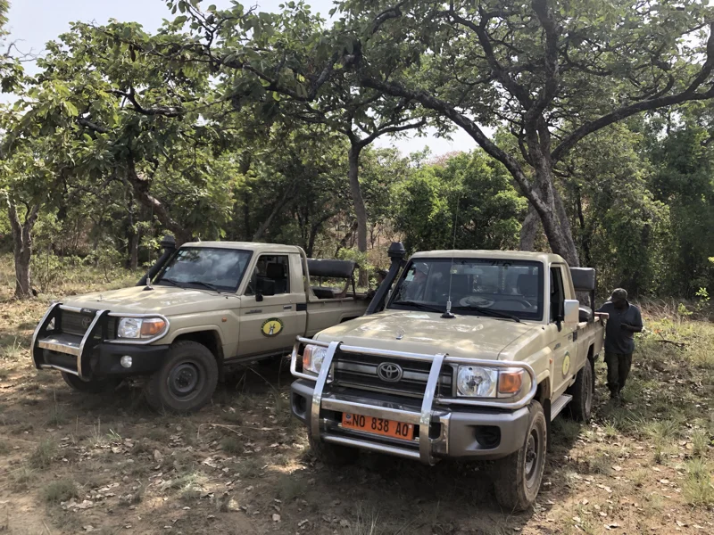 Cameroon Savannah Cool Pics11.jpg