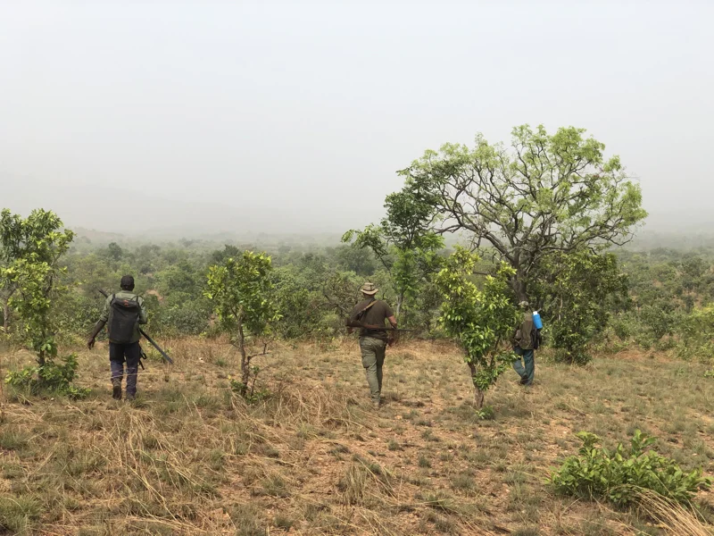 Cameroon Savannah Cool Pics24.jpg
