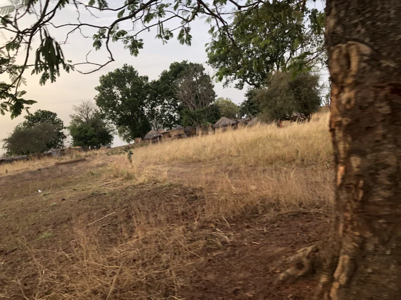 Cameroon Savannah Cool Pics27.jpg