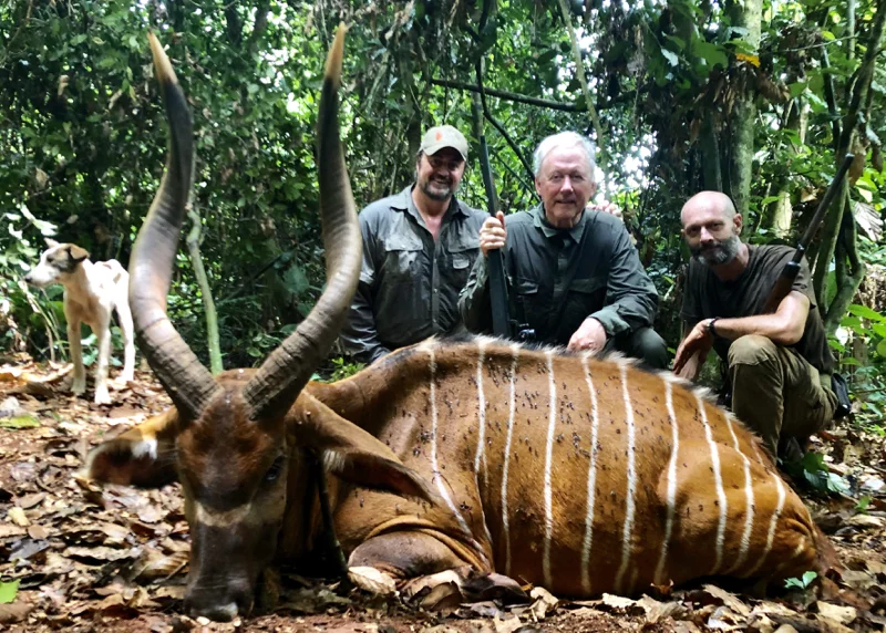 Cameroon Forrest TROPHIES18.jpg