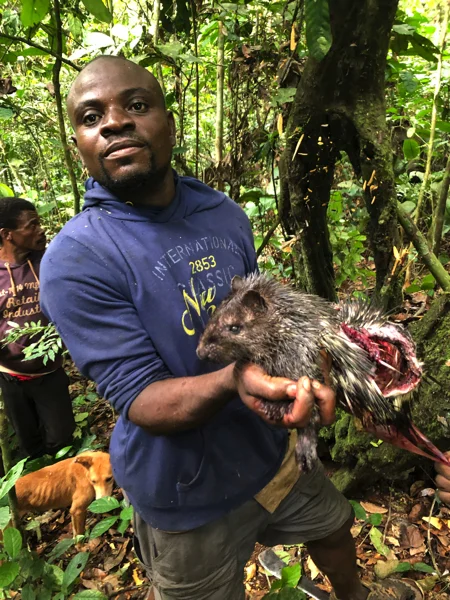 Cameroon Forrest TROPHIES7.jpg