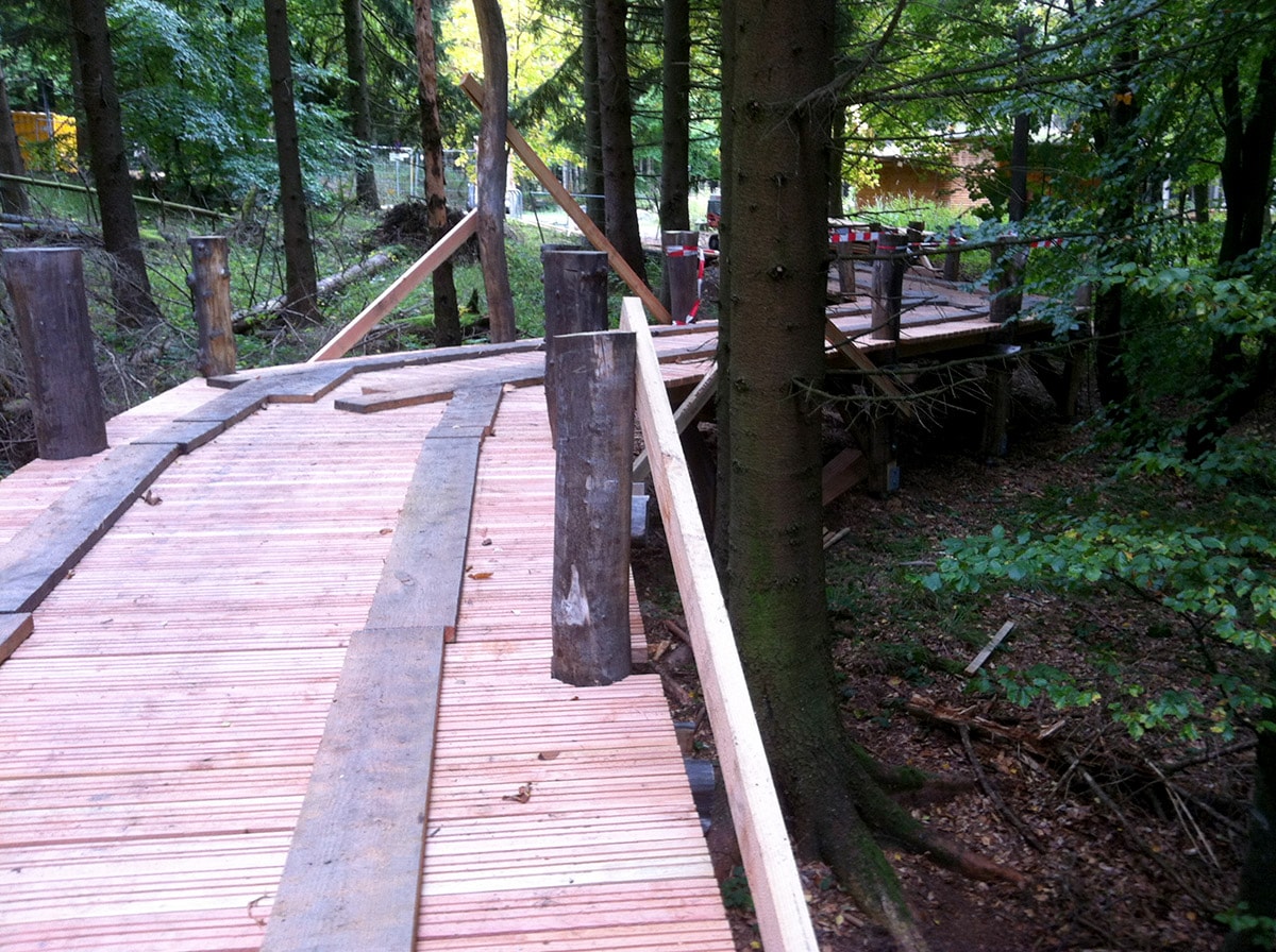 Waldsteg_05.jpg