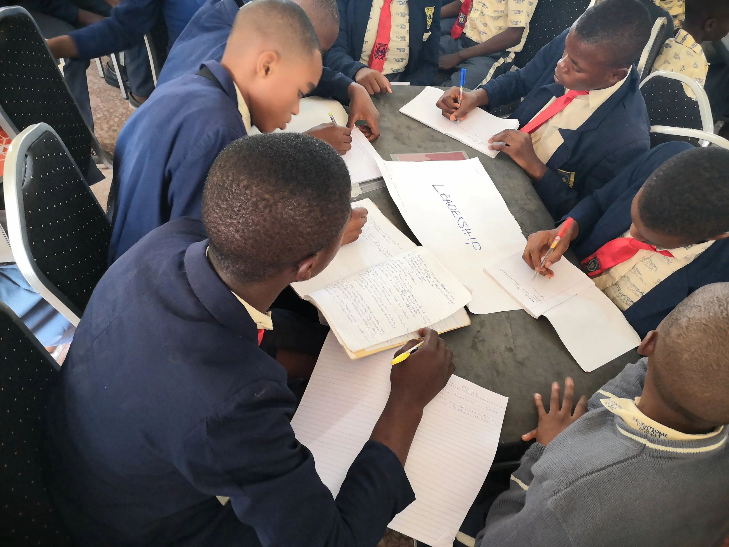Drafting of strategies for the implementation of the Goals in their immediate environment.